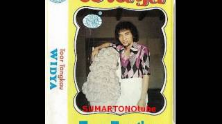 Download lagu W I D Y A - TOAR TANKAU mp3