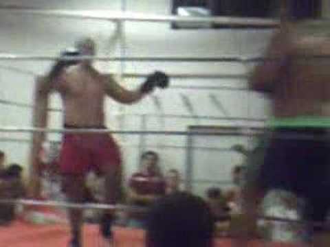 LUTA DE MUAY THAI {WASP} FRUTAL MG