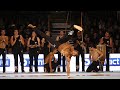 Capoeira At The 2015 North European Martial Arts Festival
