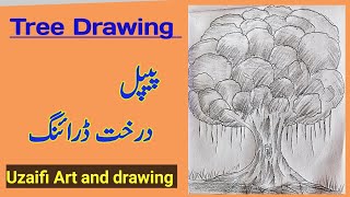 easy to pipal tree drawing step by step // pipal tree pencil drawing 2022// tree drawing