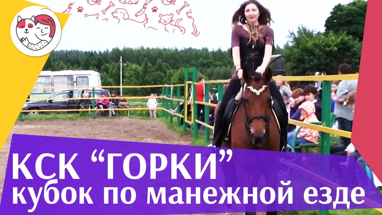 Летний кубок КСК Горки по манежной езде КЮР часть 7 на ilikepet