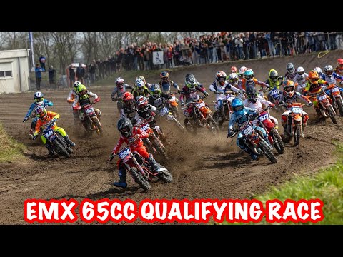 EMX 65CC QUALIFYING RACE ROUND 1 | MC Delfcross | Liljann141 #146