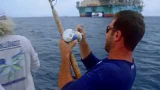 Fish Mavericks Bucket Tuna Trick