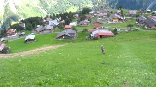 preview picture of video 'Hay, Gimmelwald!'