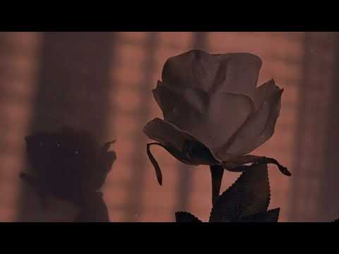 Asha Elia- Heavenly War ((SLOWED))