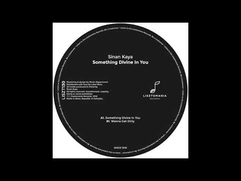 Sinan Kaya - Something Divine In You ( Original Mix ) - Lisztomania Records