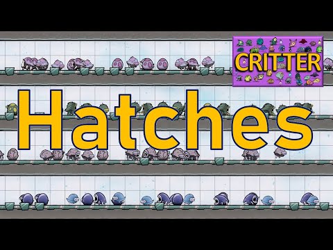Stone Hatch
