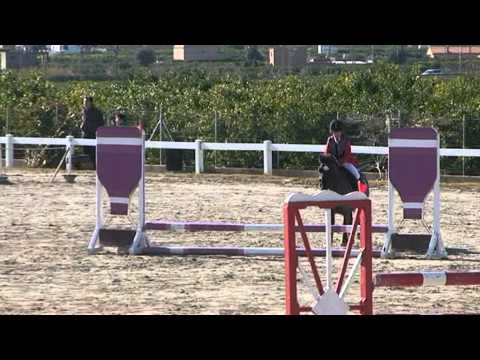 DIEGO GONZALEZ DOLZ - CORONEL