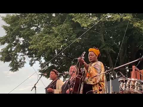 Kyshona- Nighttime Animal