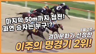 경마 명승부! '와일드킹덤' 2년 2개월만에 우승? 전성기는 바로 지금