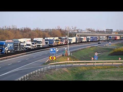 Angst vor der Maul- und Klauenseuche: Estland und Tschechien schotten sich ab
