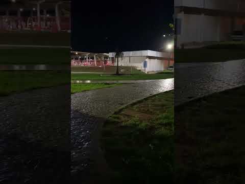 #brf #perdigão #sadia #rioverdegoias