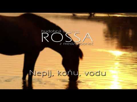 ROSSA 2 - Nepij, koňu, vodu
