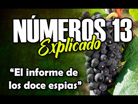 NÚMEROS 13 - EXPLICADO | Reavivados por su Palabra || 23 DE MAYO 2022