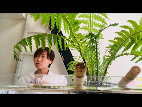 ディクソニア南極大陸、2023年に国内に導入へ