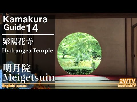 鎌倉明月院　＃紫陽花寺＃japanesegarden＃englishguide