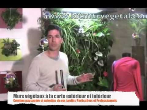 comment construire un mur vegetal d'interieur