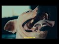 Crispy Malawi Zikuti Bwa OFFICIAL VISUALIZER
