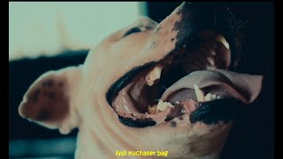 Download lagu Crispy Malawi - Zikuti Bwa? mp3 Download lagu Crispy Malawi - Zikuti Bwa? mp3