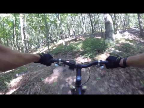 Milk Crate Trail @ Landlocked Forest