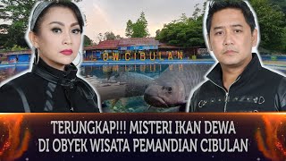 Download lagu 561 - TERUNGKAP!!! MISTERI IKAN DEWA DI OBYEK WISATA PEMANDIAN CIBULAN KUNINGAN mp3