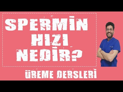 download lagu mp3 mp4 Yol Sprme Aralar, download lagu Yol Sprme Aralar gratis, unduh video klip Yol Sprme Aralar