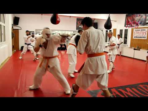 Furo belt examination 02 02 2017