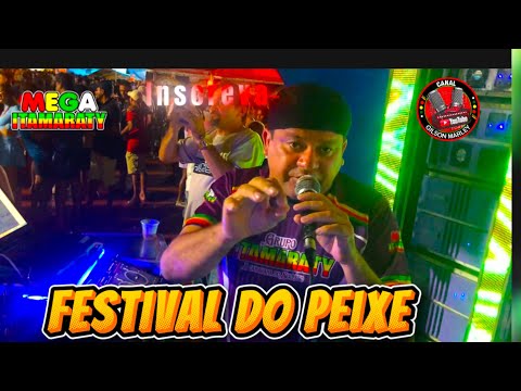 Festival do peixe em Conceição Lago açu MA com a nega itamaraty foi show 