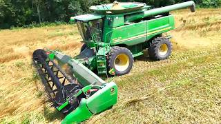 Harvesting Oats! The 2026 Grain Harvest is Here or So We Think!