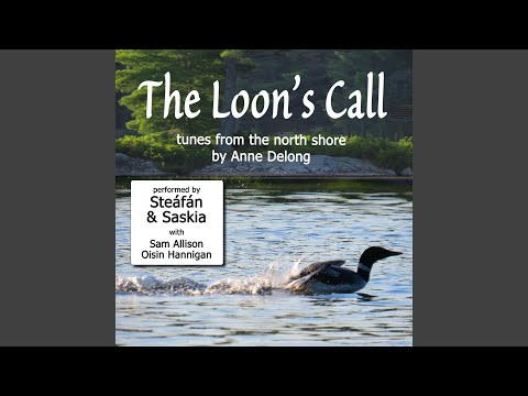 Almond Icing / Cinnamon Stick / Two by Two Step (feat. Sam Allison & Oisin Hannigan)