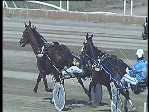 Trotto 14/04/2017 - 2ª corsa