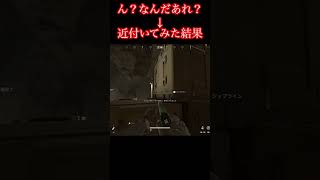 ジップライン中に「なんだあれ？」と思って近付いてみた結果…【デルタフォース】
