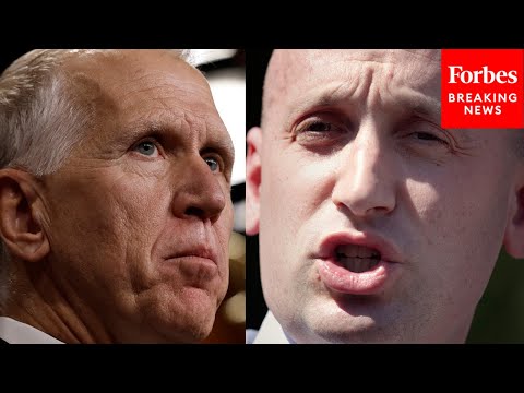 'I'm Sick Of Stupid': Thom Tillis Dunks On Stephen Miller For Saying Greenland Should Be Part Of US