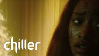 ANIMAL | Meet the Maker: Animal  | Chiller