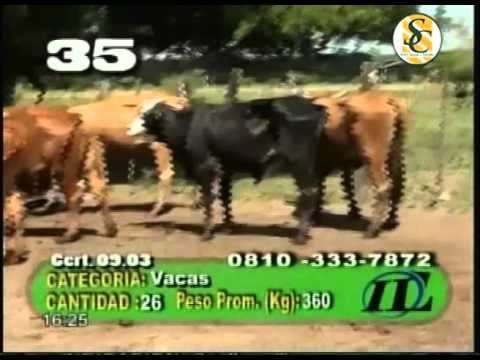 04-11-15 Ventas de Ivan l. O. Farrell por T.V. ( Parte 2 ) - Entre Surcos y Corrales.