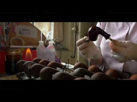 Pipe CHACOM - "D'une racine naît une pipe"