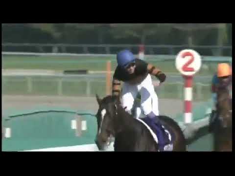 2017 JRA Osaka Hai   KITASAN BLACK