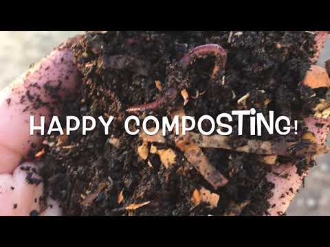 Making A Worm Compost Bin