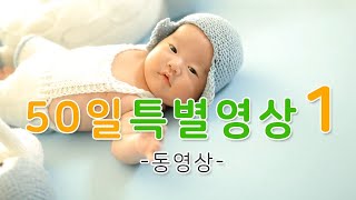 [생후 50일] 50일 특별영상1