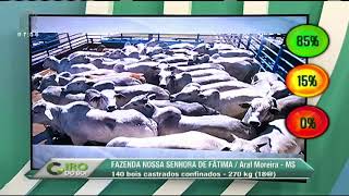 Miniatura do vídeo