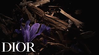 Christian Dior Esprit de Parfum - The Private Scent, Gris Dior