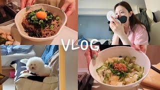 30代独身女のリアルな日常VLOG｜仕事終わりの食事記録🍳｜自炊ルーティン,ビションフリーゼとの暮らし