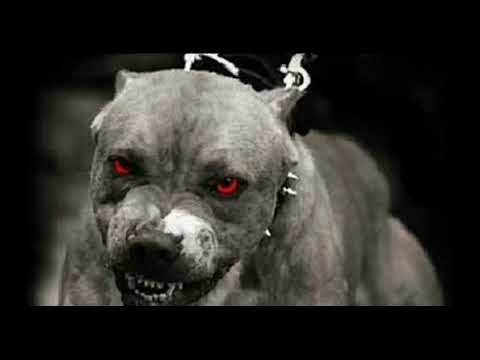 2pac ft Tech N9ne freddie gibbs & young buck - slayers