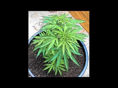 Manlok - PsychoBrain [2012] UNDERGROUND SUREÑO