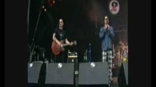 Sally Maclennane - Shane Macgowan and the Popes @ Pinkpop 1995