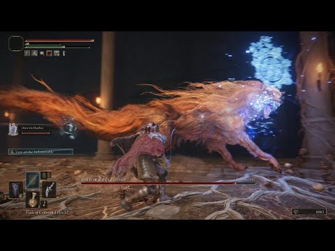 ELDEN RING - Red Wolf Falls to the REAL Wolf Champion