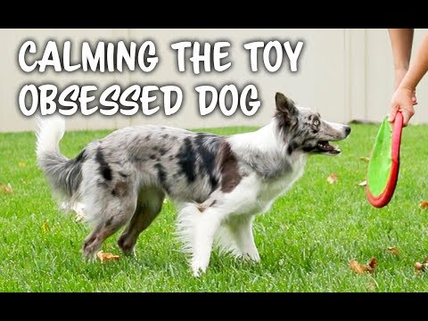 STOP UNWANTED behaviors with BACK UP