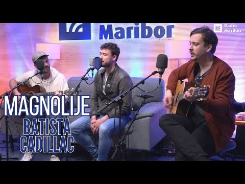 BATISTA CADILLAC - Magnolije