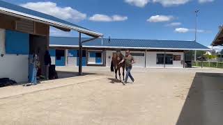 https://youtu.be/zW_M-UNHV-8?is=lrrL43L1-b_uT0Ek
