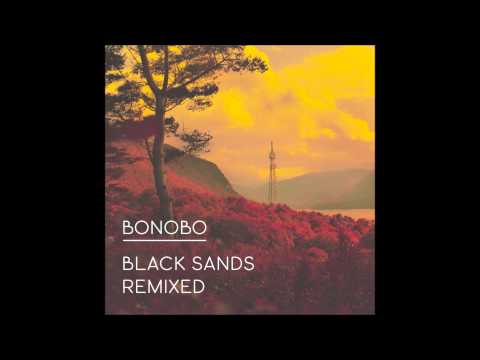 Bonobo - All In Forms (Mike Slott Remix)